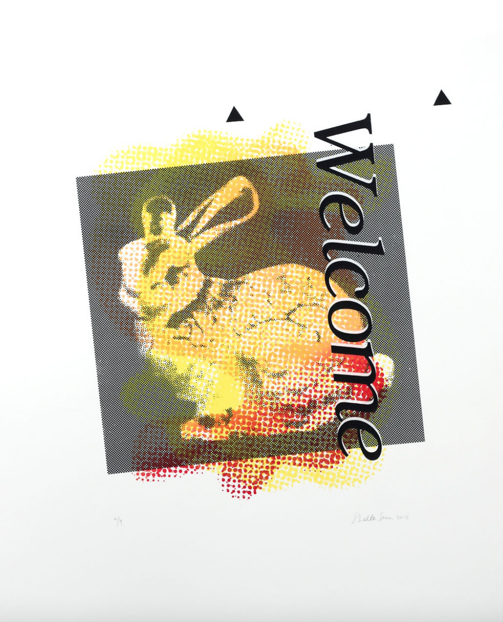 Shelter Serra: Welcome Bunny